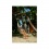 AMAZONAS - Chaise-Hamac Brasil Mocca