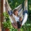 LA SIESTA - Chaise-Hamac Lounger DOMINGO Sea Salt (Outdoor)