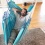 2020-08-04LA SIESTA - Chaise-Hamac Lounger HABANA Azure en coton bio