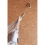 LA SIESTA - Set de fixation multi-surfaces pour hamac CasaMount Beige