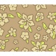 LA SIESTA - Hamac  barres Double HAWAII Coconut 350x110