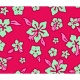 LA SIESTA - Hamac  barres Double HAWAII Hibiscus 350x110