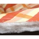 AMAZONAS - Couverture Molly